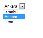 DropDownList çıktı